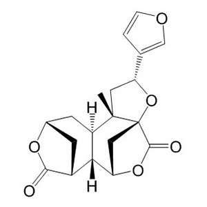 黃獨(dú)乙素