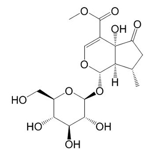 戟葉馬鞭草苷