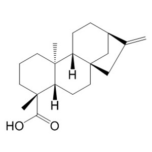 貝殼杉烯酸