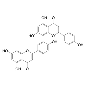 穗花杉雙黃酮