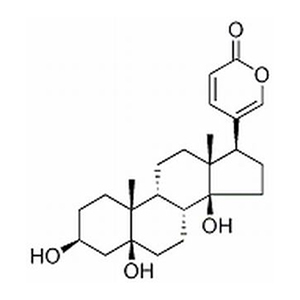 遠(yuǎn)華蟾蜍精