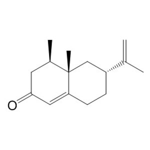 諾卡酮