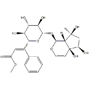 6-O-肉桂?；蛙? /></div>
<div   id=