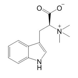刺桐堿