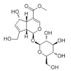 去乙酰車葉草酸甲酯
