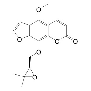 白當歸腦