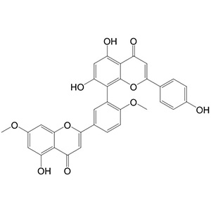 白果雙黃酮