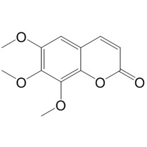 白蠟樹素